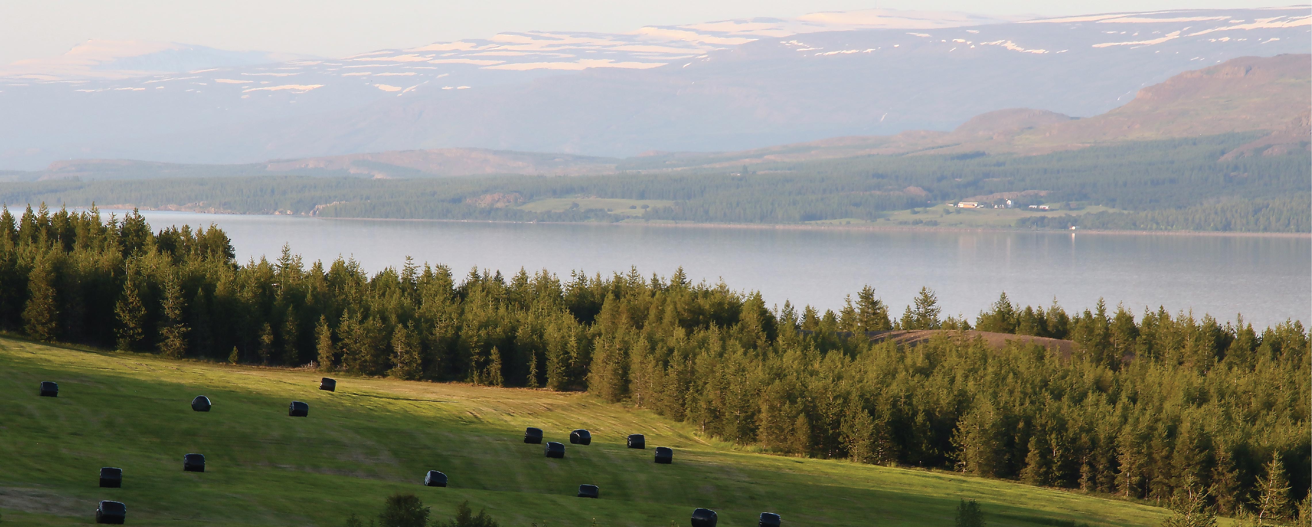 Við Löginn. Ljósmynd: Pétur Halldórsson