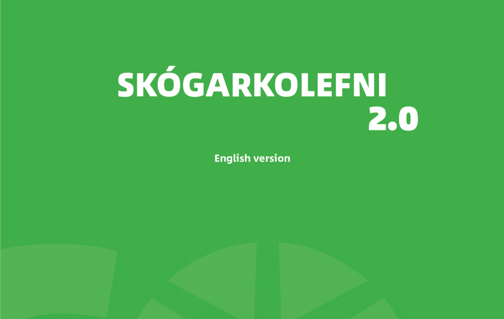 Hluti forsíðu pdf-skjalsins.