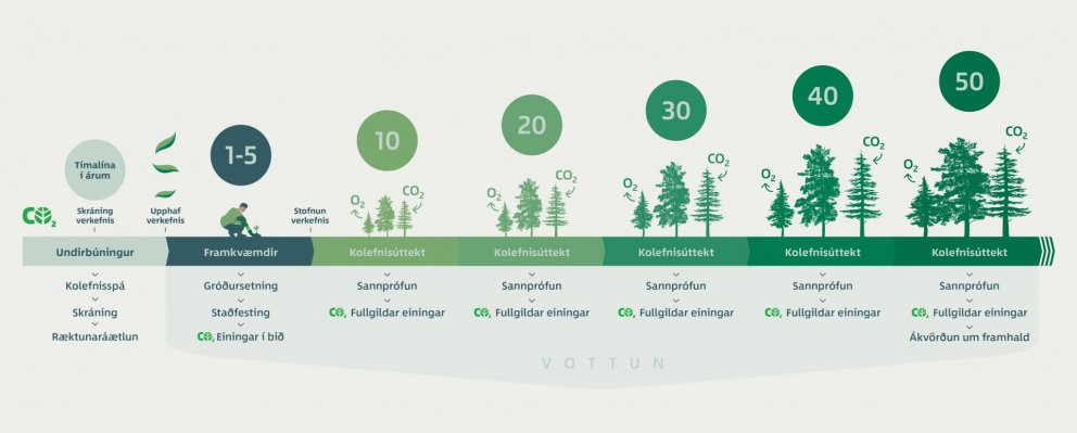 Front page banner of the new Skógarkolefni website, designed by graphic designer Anita Hafdís Björns…