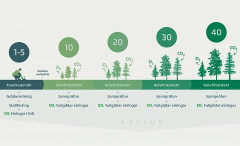 Front page banner of the new Skógarkolefni website, designed by graphic designer Anita Hafdís Björns…